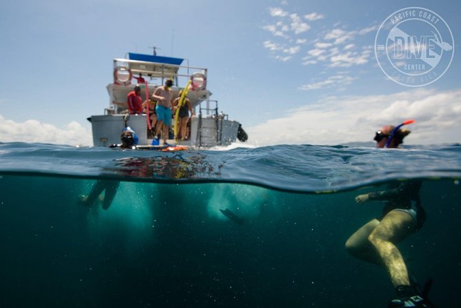 Snorkeling at Catalina Islands & North Island - CR - Inclusions