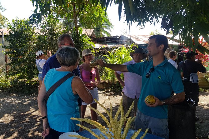 Tortuguero Canals Including Playa Bonita and Puerto Limon Highlights - Meeting Location and Pickup Details