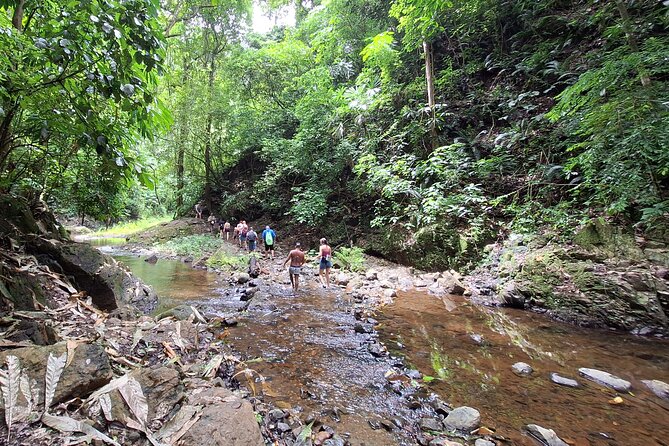 Tour to a Waterfall and Embera Village (All Fees Included) - Inclusions and Additional Information