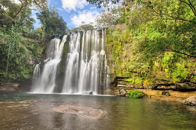 Tropical Rainforest, Hanging Bridges And Jungle Sloths Sanctuary - Encountering the Elusive Costa Rican Sloths