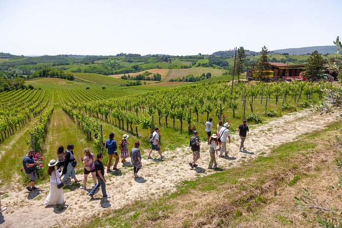 Tuscany Day Trip From Florence: Siena, San Gimignano, Pisa and Lunch at a Winery - Exploring Siena