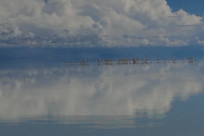 Uyuni Salt Flat 1 Day Tour +Sunset in the Salt Water Region With Mirror Effect - Itinerary and Inclusions