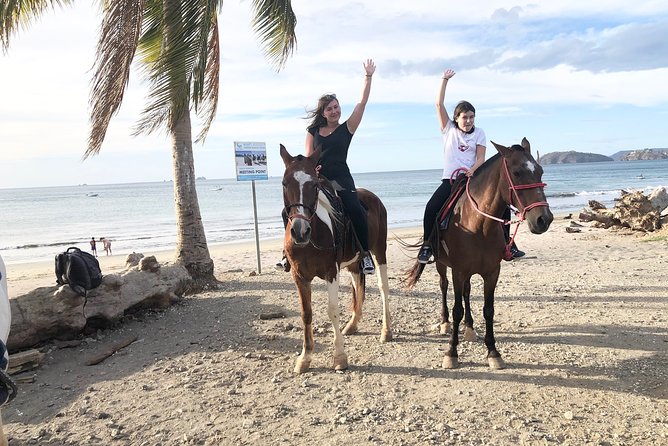 1,5 Hours Private Horseback Riding Tour in Playa Conchal - Tour Pricing