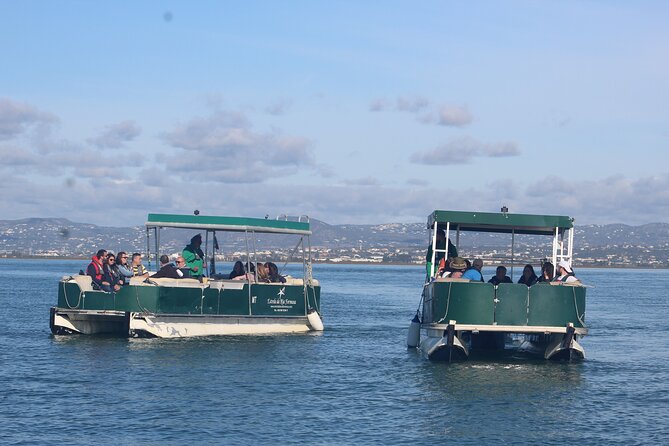 2 Stop | 2 Islands & Ria Formosa Natural Park - From Faro - Accessibility and Participation