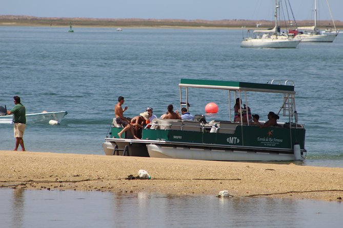 4 Stops | 3 Islands & Ria Formosa Natural Park - From Faro - Wildlife and Oyster Cultivation