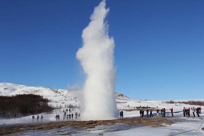 8-Day Small Group Tour Around Iceland in Minibus From Reykjavik - Traveler Experiences and Feedback