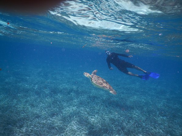 All Inclusive Snorkeling at Hol Chan - Pricing and Booking Information