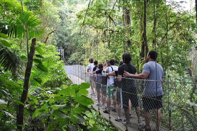 Arenal Highlights: Hanging Bridges, La Fortuna Waterfall, Volcano - Recommendations