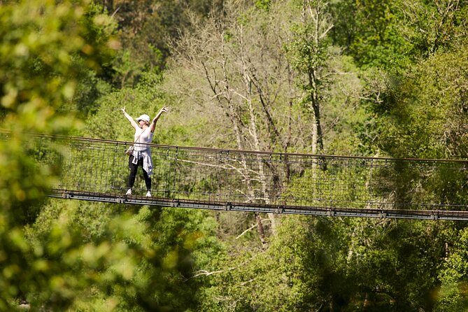 Arouca Suspension Bridge and Paiva Walkway Day Tour From Porto - Customer Experiences and Feedback