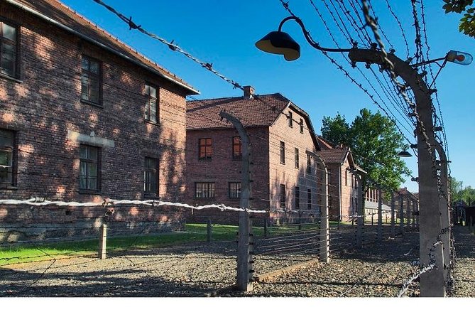 Auschwitz-Birkenau Museum and Memorial Guided Tour From Krakow - Insights From Traveler Reviews