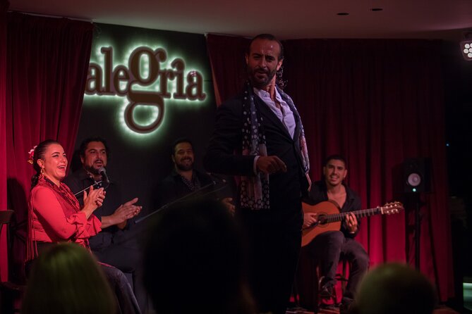 Authentic Flamenco Show. Joy and Gastronomy in Malaga - Talented Performers