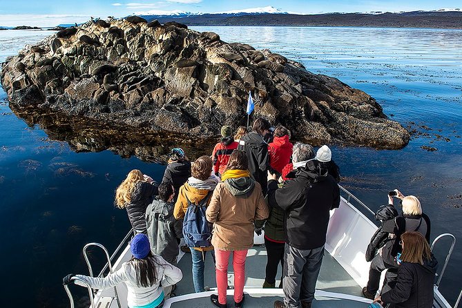 Beagle Channel Navigation With Minitrekking - Planning Your Visit