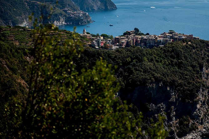 Cinque Terre Day Trip From Florence With Optional Hiking - Accessibility