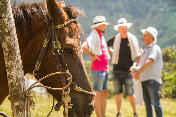 Coffee Tour In Horse Riding and Lunch In Medellin - Pickup and Meeting Information