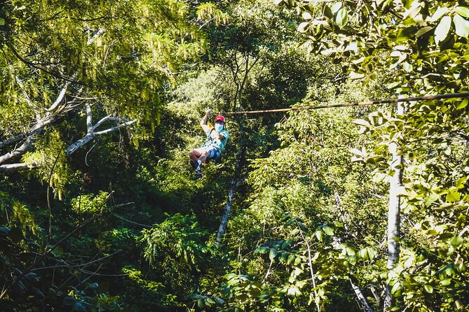 Costa Rica Monkey Jungle Zipline From Tamarindo - Inclusions and Amenities