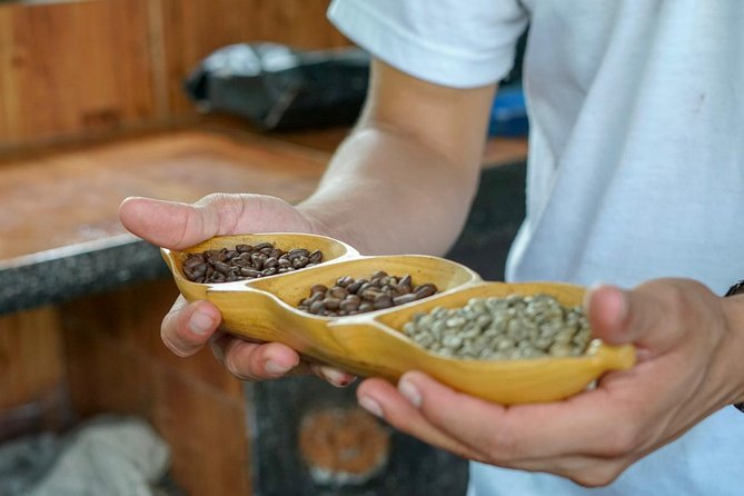 Costa Rican Coffee and Chocolate Crafting Experience: North Fields Cafe - Cultural Significance of Coffee, Chocolate, and Sugar Cane