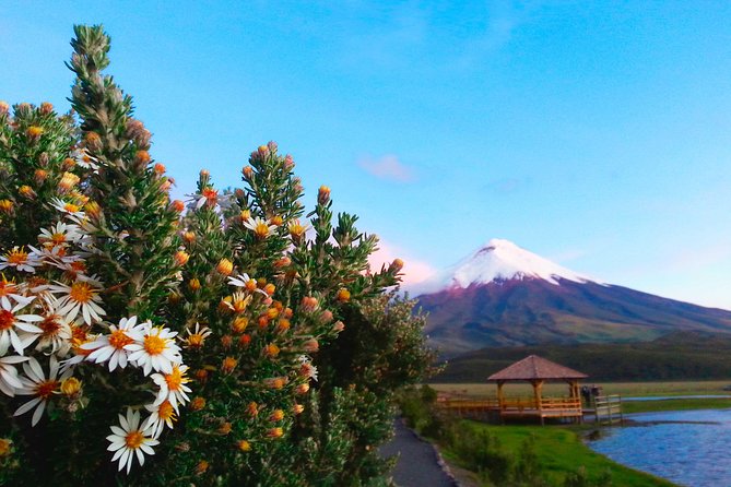 Cotopaxi Full-Day From Quito Including Entrances - Inclusions and Exclusions