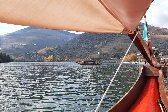 Douro Valley 3 Wine Experiences With Lunch & Optional Boat Cruise - Scenic Boat Cruise on the Douro River