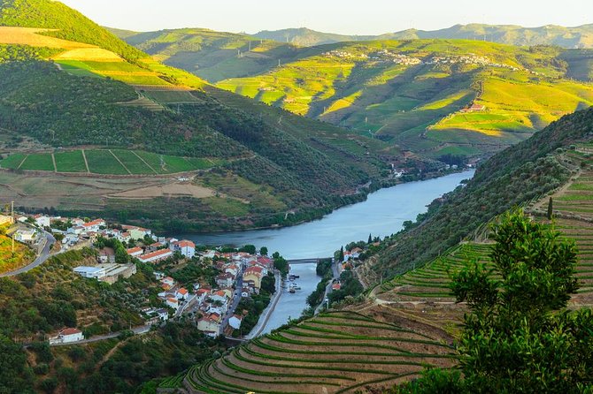 Douro Valley Tour: Wine Tasting, Cruise and Lunch From Porto - Traveler Sentiment and Feedback