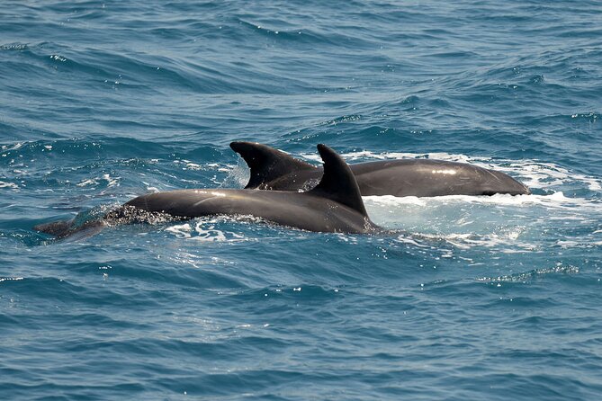 Full Day 3-Island Boat Cruise From Port of Kos - Customer Reviews and Feedback