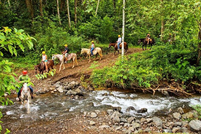 Full Day Fun Pass Jaco Jungle Adventure Five in One With Lunch (7 Hours) - Participant Information and Safety Considerations