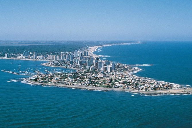 Full Day Punta Del Este - Traveler Experiences and Feedback