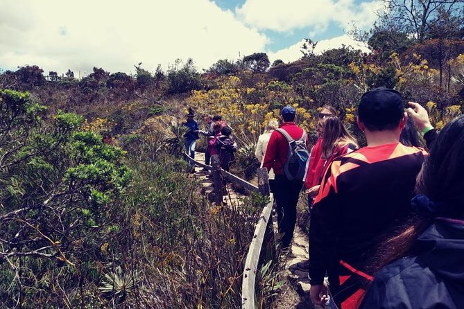 Guatavita and Salt Cathedral - Group Tour and Daily Departure - Physical Requirements and Accessibility