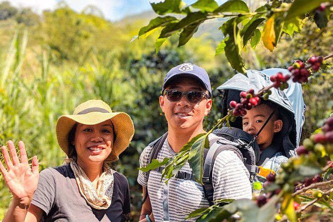 Half-Day Coffee Tour in Medellín: From the Seed to the Cup - Positive Traveler Feedback and Recommendations