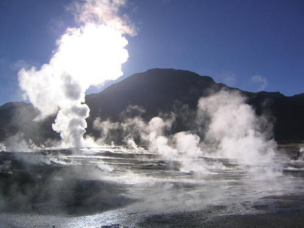 Half Day Tour to Geysers Del Tatio - Wildlife Spotting Along the Route