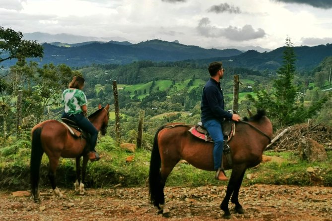 Horseback Riding in Medellin Private Tour: Great Views & Horses - Ideal for Couples, Families, and Group Activities