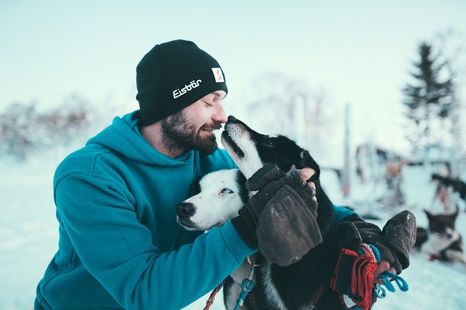 Husky Sledding Self-Drive Adventure in Tromso - Customer Feedback Highlights