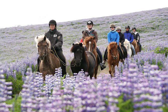 Icelandic Horseback Riding Tour From Reykjavik - Sights and Scenery