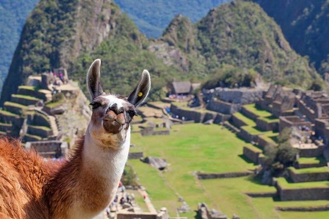 Machu Picchu Day Trip From Cusco - Logistics and Planning Considerations