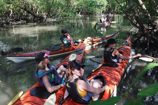 Mangrove, Beaches and Islands by Kayak Tour - Health and Safety Considerations