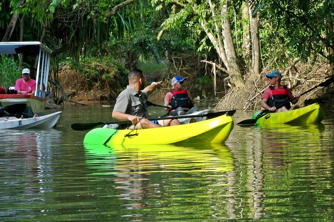 Mangrove Kayak Tour | Manuel Antonio - Wildlife Encounters