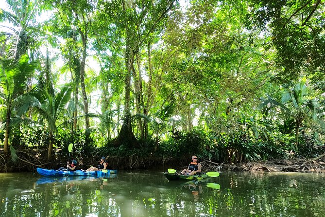 Mangrove Kayak - Flexible Booking and Payment Options