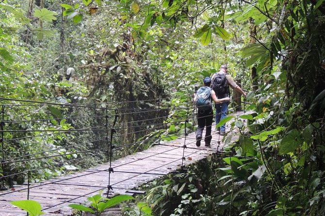 Mindo Cloud Forest Private Day Tour - Discovering Endemic Wildlife