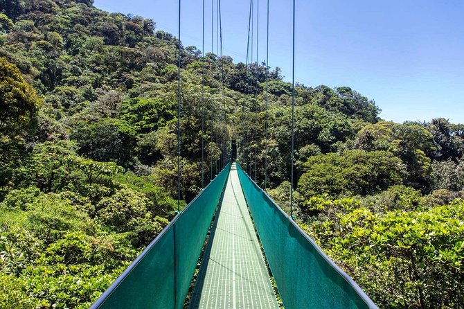 Monteverde Sky Tram & Hanging Bridges Cloud Forest Tour From San Jose - Aerial Tram Experience