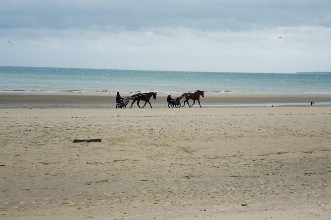 Normandy Beaches Half-Day Afternoon Trip From Bayeux (A2) - Emotional Impact and Historical Insights