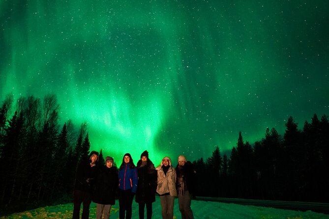 Northern Lights Rovaniemi: Guaranteed Viewing & Unlimited Mileage - Guest Reviews and Feedback