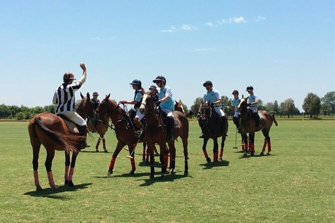 Polo Match, BBQ and Lesson Day-Trip From Buenos Aires - Experiencing Argentinas Polo Culture