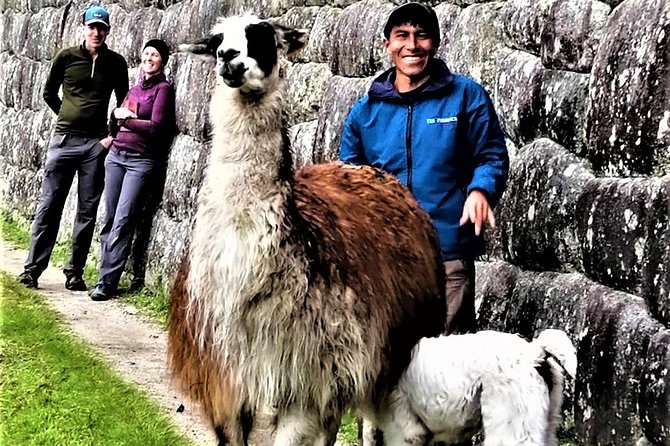 Private Guide for Machu Picchu - 3 Hours - Accessibility and Requirements