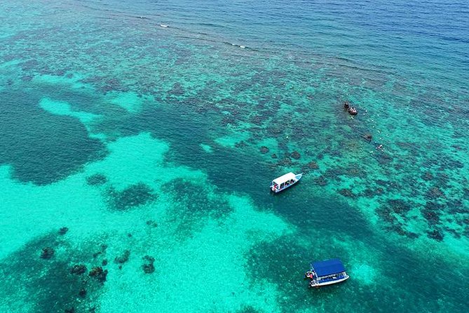 Roatan 3 Stop Snorkeling Adventure, Shipwreck, Starfish & Blue Channel - Safety Precautions