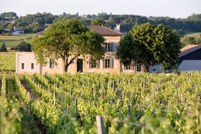 Saint Emilion Half-Day Trip With Wine Tasting & Winery Visit From Bordeaux - Booking and Cancellation Policy