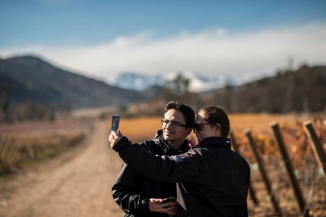 Santa Rita Vineyard Tour With Lunch an Unforgettable Experience! - Discovering the On-Site Andean Museum