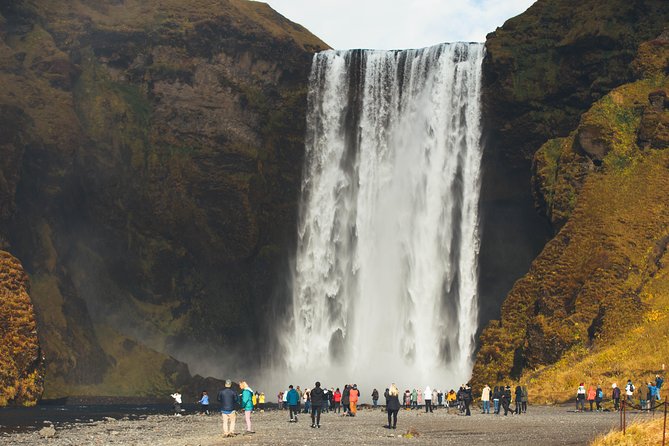 South Iceland Glaciers, Waterfalls and Black Sand Beach Day Tour From Reykjavik - Traveler Experiences and Feedback