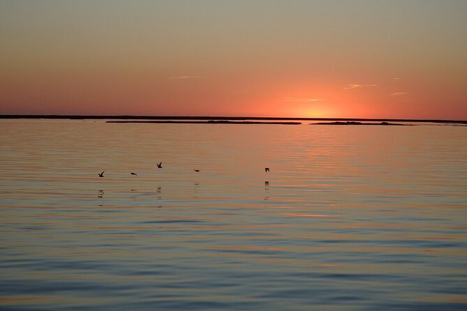 Sunset Tour | Ria Formosa - From Faro - Pricing and Cancellation Policy