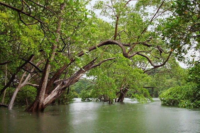 Tamarindo Estuary Boat Safari - Recommended Attire and Preparation