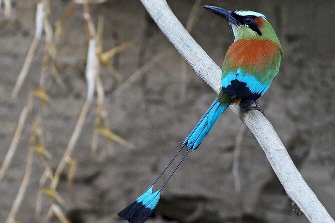 Tamarindo Estuary Tour - Booking and Cancellation Policy