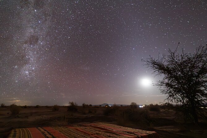 The Roofless - Semi-Private Astronomical Tour San Pedro De Atacama - Participant Guidelines and Health Restrictions